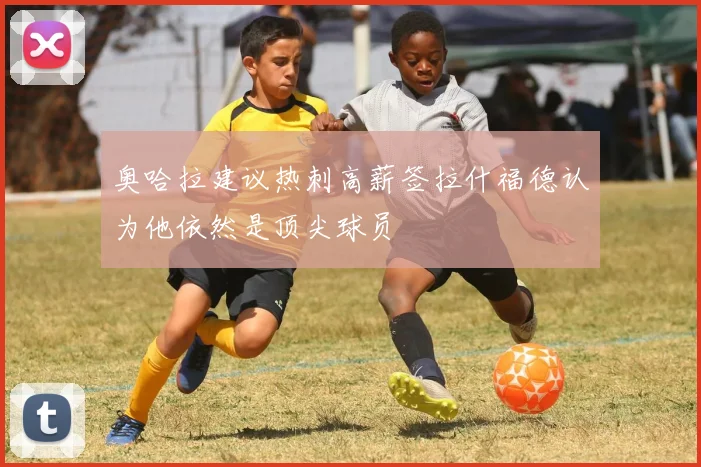 奥哈拉建议热刺高薪签拉什福德认为他依然是顶尖球员